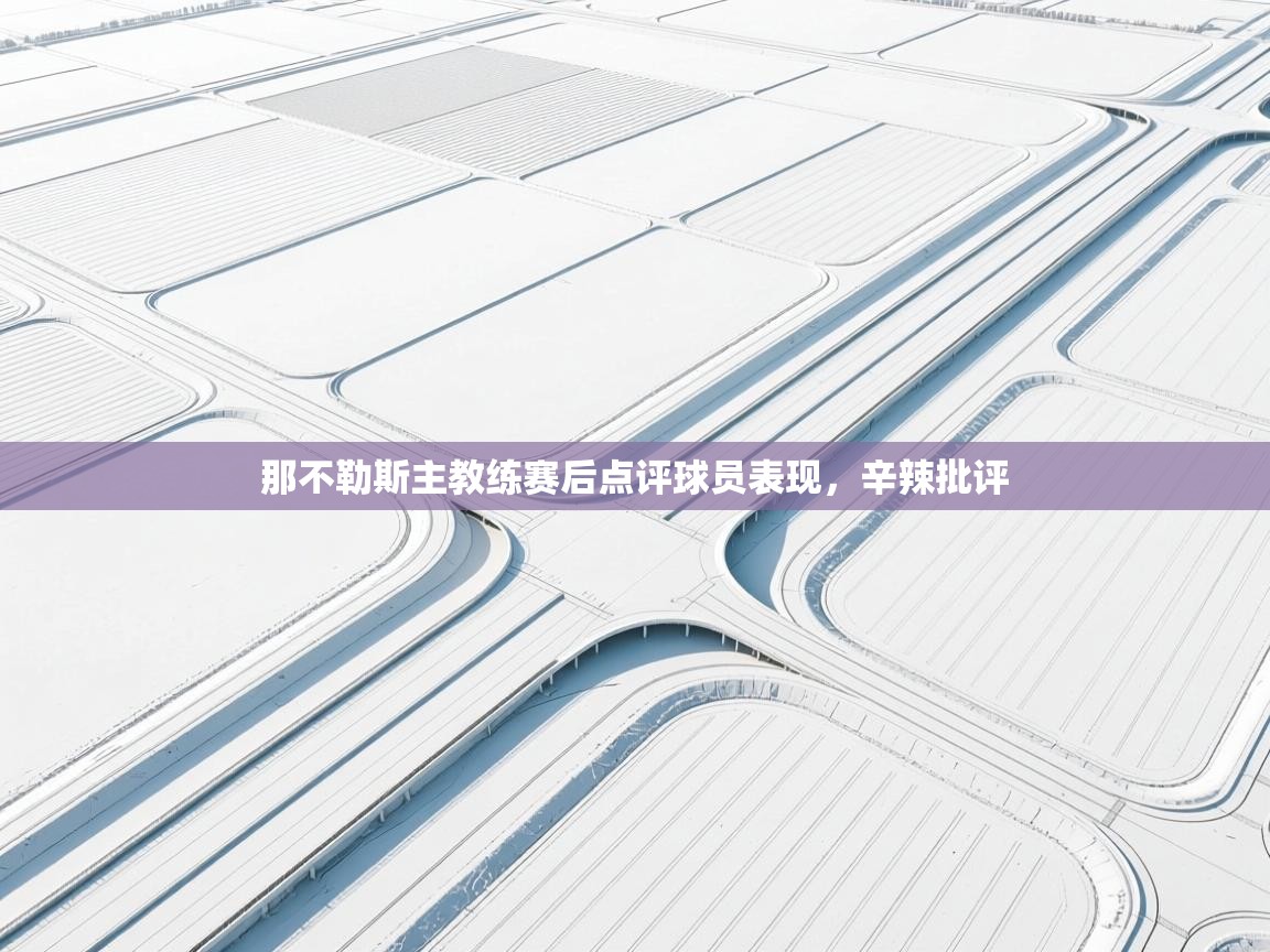 那不勒斯主教练赛后点评球员表现，辛辣批评