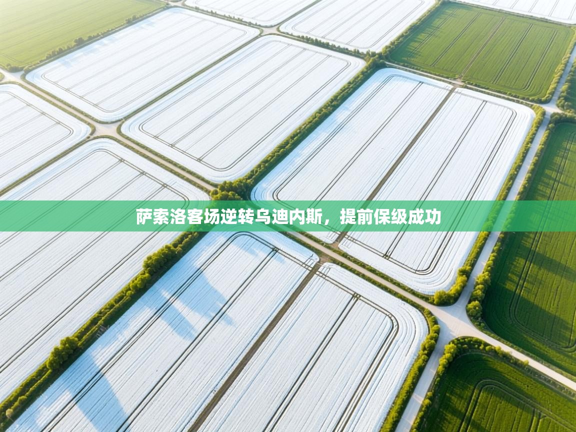 萨索洛客场逆转乌迪内斯，提前保级成功