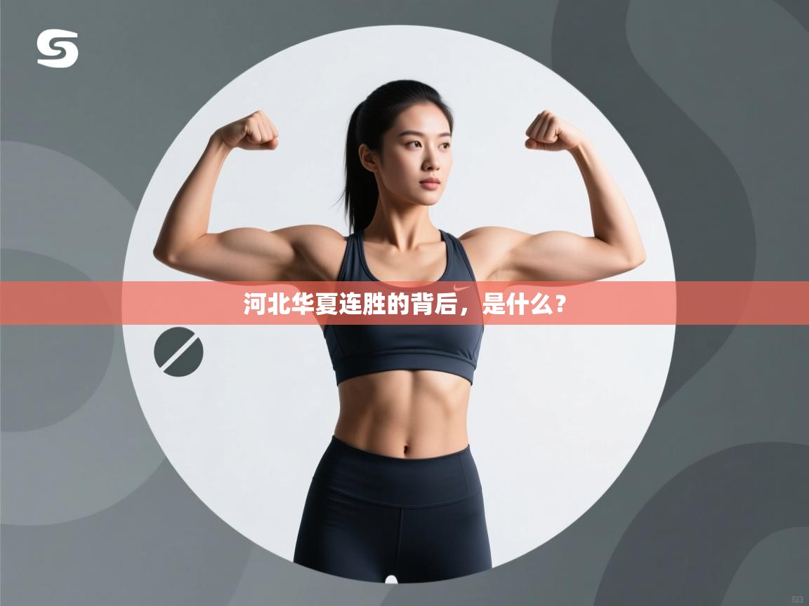 河北华夏连胜的背后，是什么？