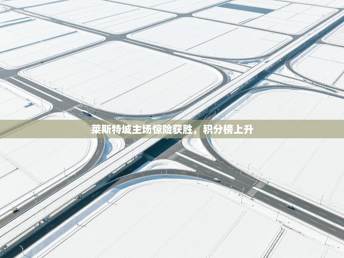 莱斯特城主场惊险获胜，积分榜上升