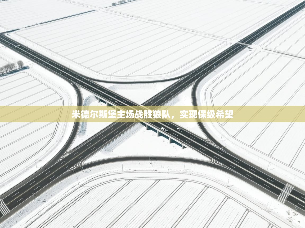 米德尔斯堡主场战胜狼队，实现保级希望